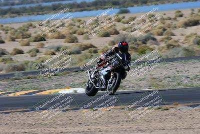 media/Apr-14-2024-SoCal Trackdays (Sun) [[70f97d3d4f]]/1-Turn 5 Tree of Life (920am)/